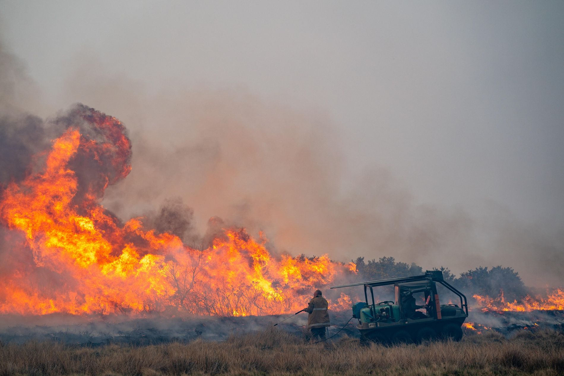 UK Cities Advised To Be Prepared For Wildfire