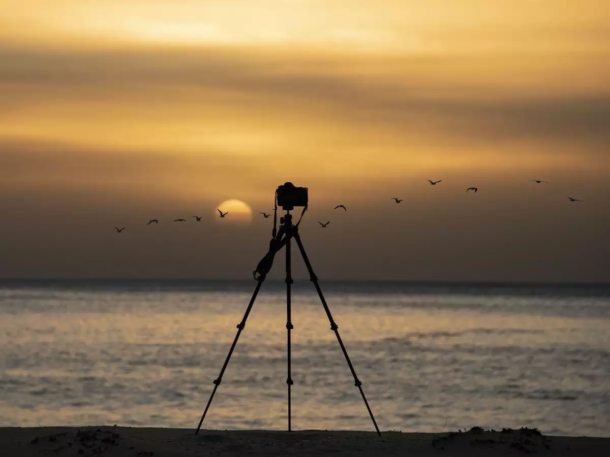 5 Best Tripod Models of 2022 By Portability, Features, and Specifications