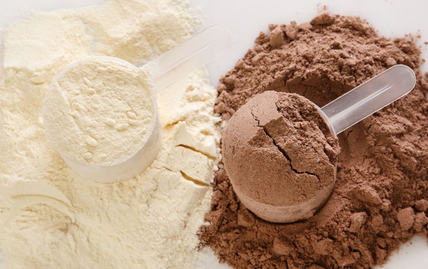 Top 5 Best Whey Protein Powders: What you Need to Know?