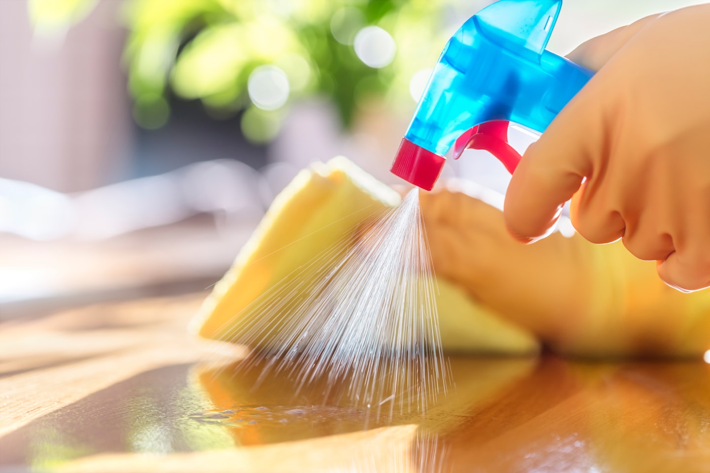5 Disinfectant Sprays and Liquids that are Worth the Money