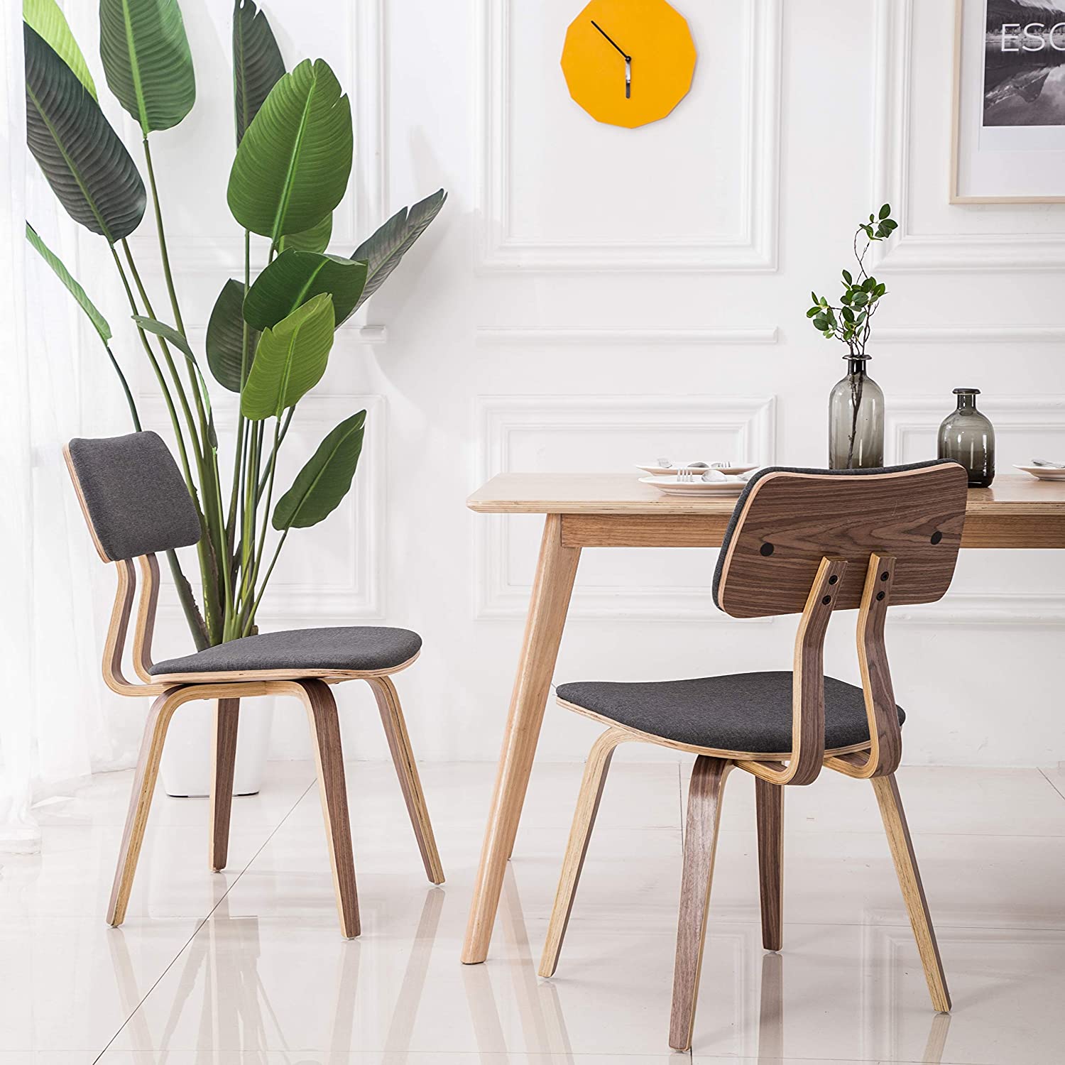 Dining Chairs: A Guide to The Different Types you Can Choose