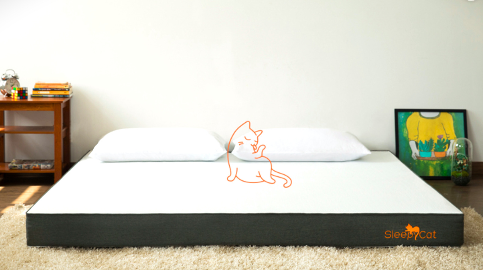 SleepyCat Review Purrfect Sleep Unleashed + Exclusive SleepyCat