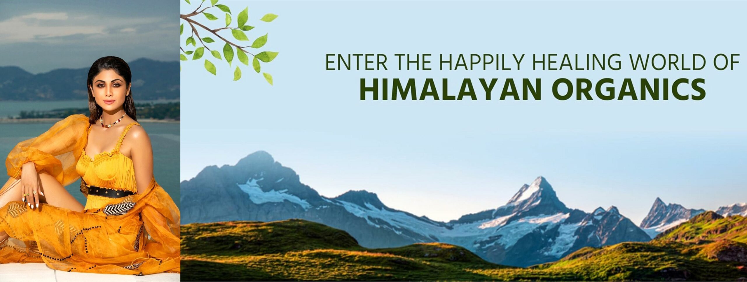 Himalayan Organics Review Purity in Every Product + Exclusive